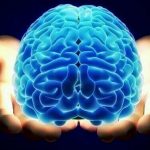 انواع و اقسام تله پاتی ۱.تله پاتی بزرگ یا تله پاتی غیر عمد از انواع تله پاتی ۲.تله پاتی کوچک ، یا تله پاتی عمده یا ایجاد شده ۳ .انواع متفرقه