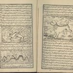 خواص الحیوان