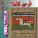 دانلود کتاب خطی ( نایاب و قدیمی) فرس نامه در باب پرورش اسب و بیماریهای اسب