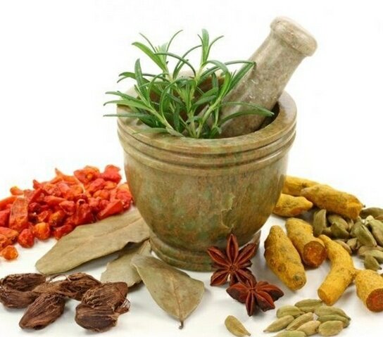 تشریح الاشجار(بسیار نایاب) پی دی اف